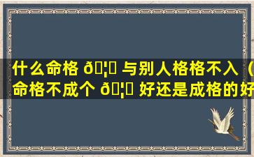 什么命格 🦍 与别人格格不入（命格不成个 🦅 好还是成格的好）